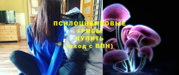 прущая мука Осташков