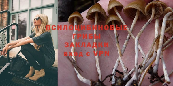 spice Осинники