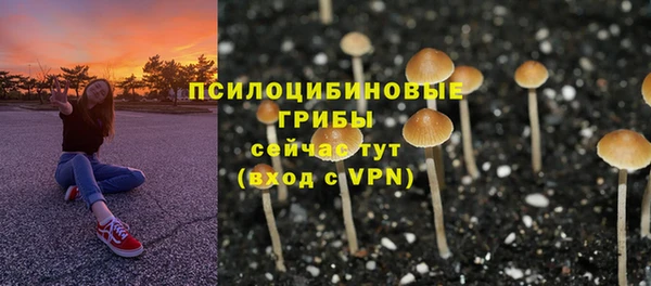 spice Осинники