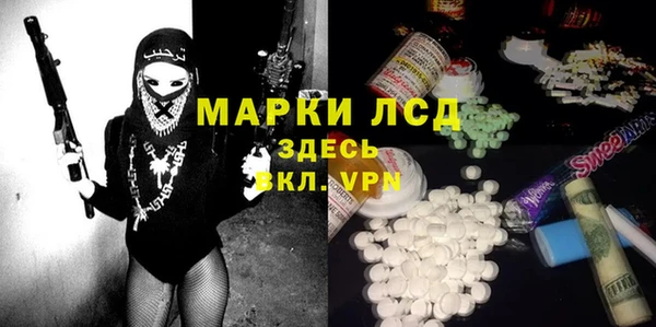 spice Осинники