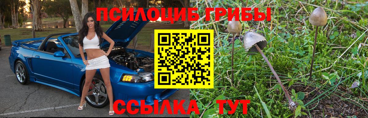 Галлюциногенные грибы мухоморы  Вязьма 