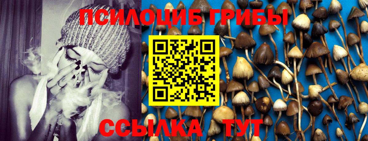 Псилоцибиновые грибы MAGIC MUSHROOMS Вязьма