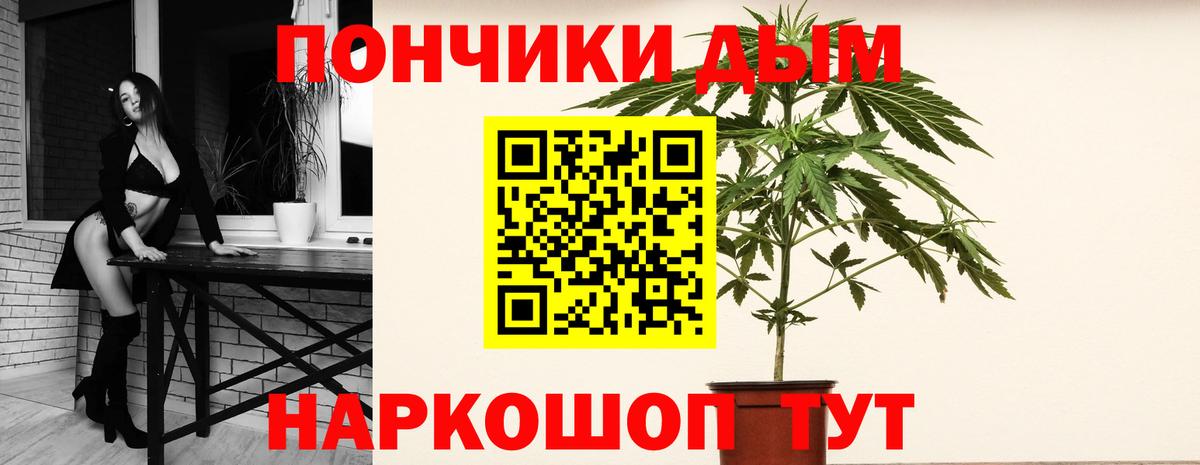 Бошки Шишки план Вязьма